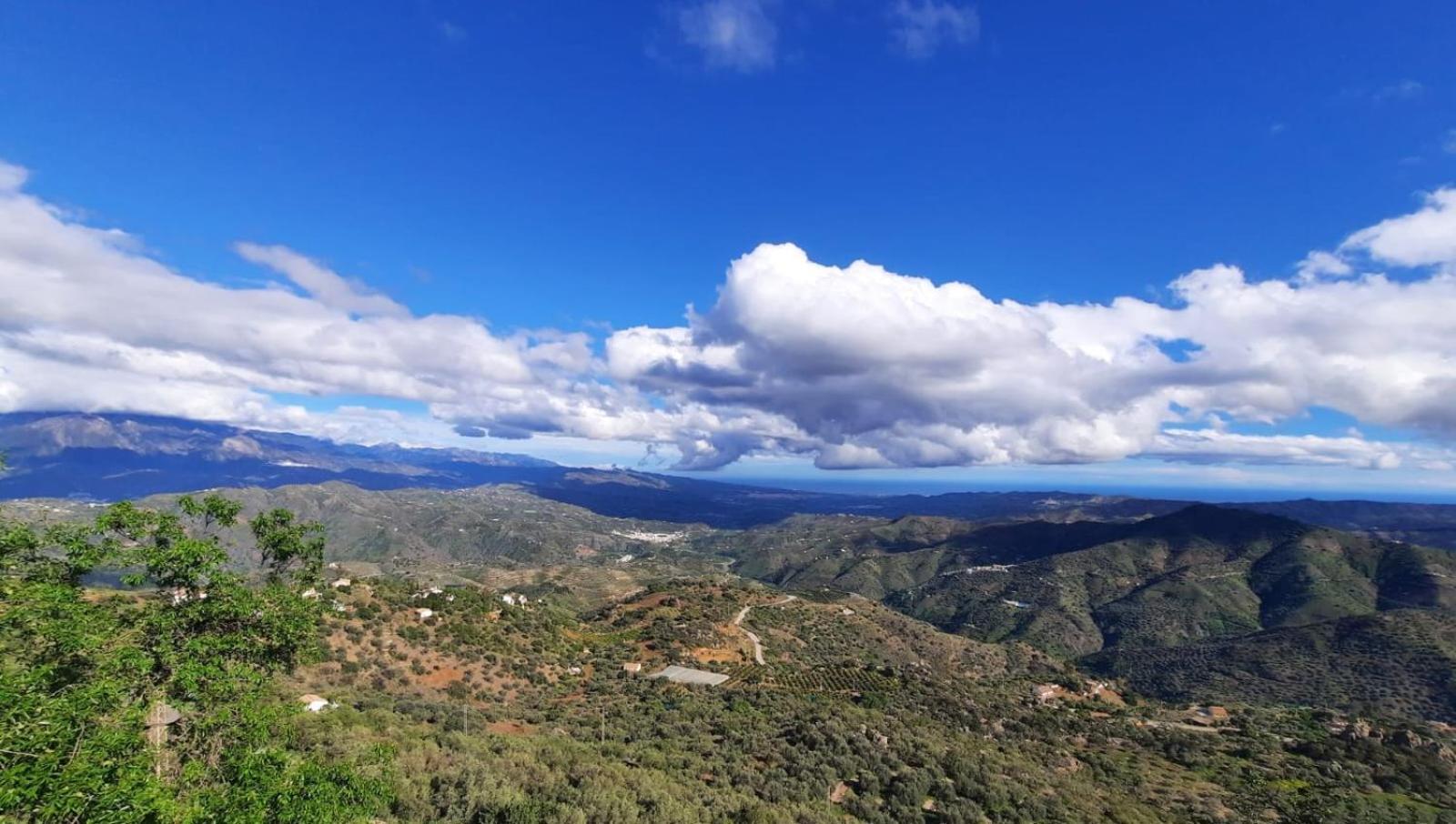 Comares Hotel Rural Verde Oliva מראה חיצוני תמונה
